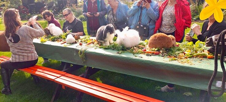 Cowboyhoeden en knuffelkonijnen: Dierendag alvast gevierd in Zwolle