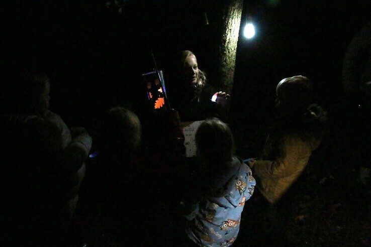 Ontdek Zwolle in het donker tijdens Nacht van de Nacht in Nooterhof