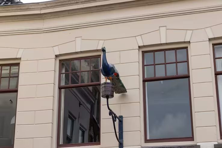 Zwolle Ontrafeld #7 Het geheim van de trotse Gulden Pauw